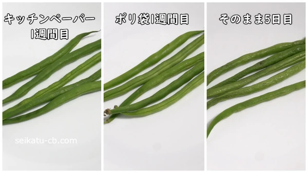 それぞれの方法で冷蔵保存したさやいんげんの見た目の変化
