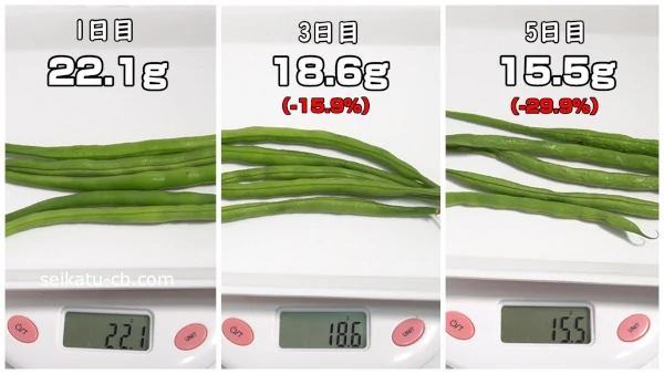 そのまま冷蔵保存したさやいんげんの5日目までの重さの変化