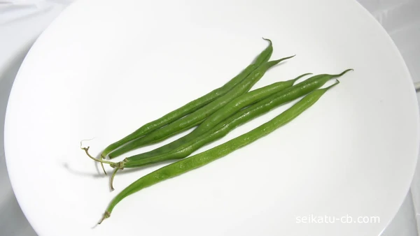 さやいんげんをキッチンペーパーとポリ袋に入れて冷蔵保存1日目