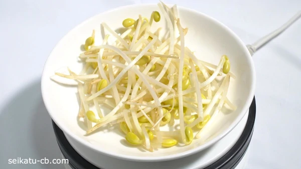 袋から出した大豆もやし