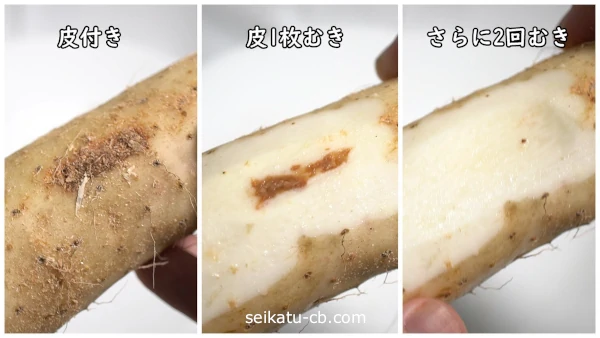 �������㿧���ѿ�����Ĺ����ѿ�������ʬ��त��Ĺ��