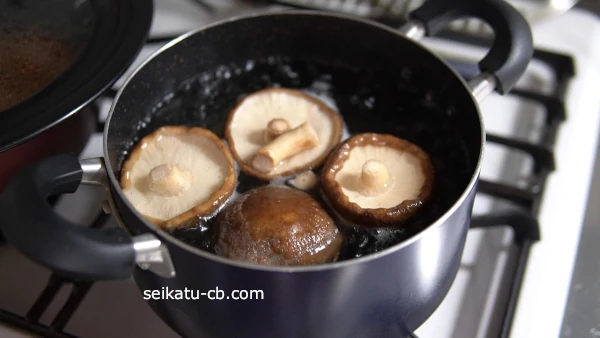 ����������觤Ǥ�