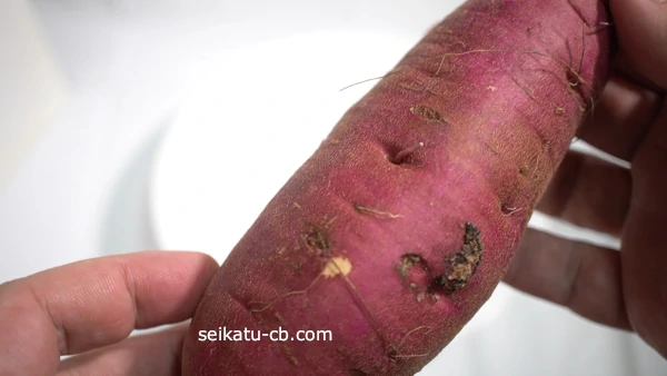 毛穴が深くひげ根も太いさつまいもの表面