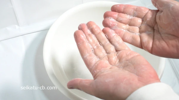 ���������Υڡ��ѡ�������30�������٥����������1�����ˢΩ�Ƥ�