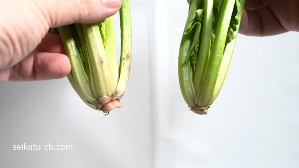 �Ԥκ٤��ۤ������ȷԤ������ۤ������