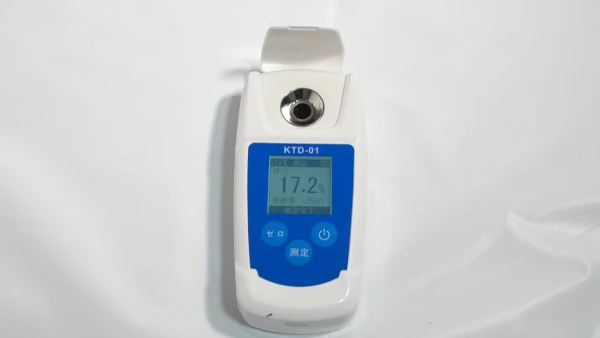 ���������������٤�17.2��