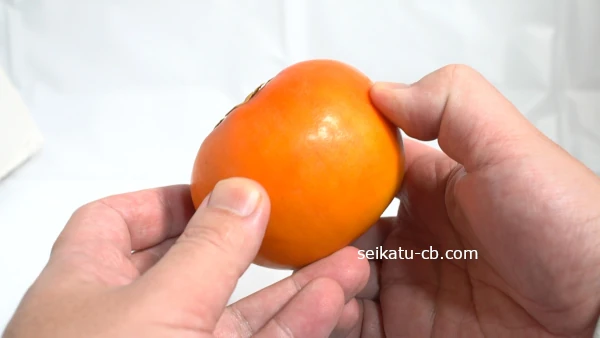 ����ǻ�����θǤ�