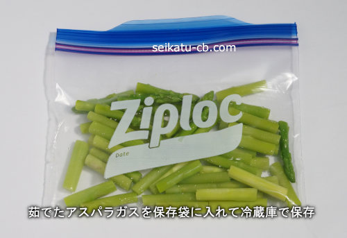 觤Ǥ������ѥ饬������¸�ޤ��������¢�ˤ���¸