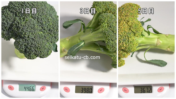 16�٤���18�٤���¸�����֥��å��꡼��5���ܤޤǤνŤ����Ѳ�