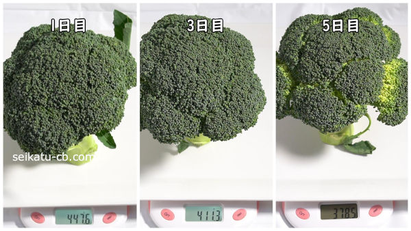 13�٤���¸�����֥��å��꡼��5���ܤޤǤνŤ����Ѳ�