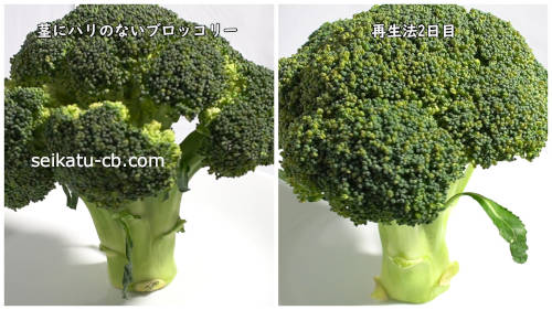 ���ʤӤ��֥��å��꡼�ηԤȺ����������֥��å��꡼�η�