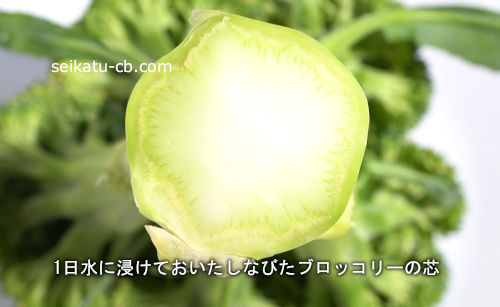 1����˿����Ƥ��������ʤӤ��֥��å��꡼�ο�