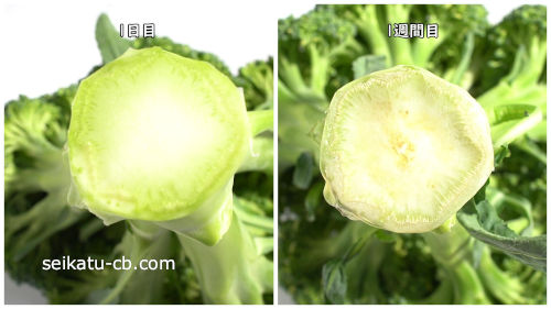 �����Υ֥��å��꡼�οĤȤ��ʤӤ��֥��å��꡼�ο�