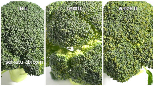 �֥��å��꡼�ν�����1���֤��Ⱥ���2���ܤ����