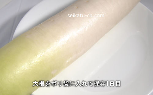 �纬��ݥ��ޤ��������¸1����