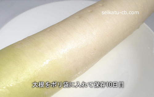 �纬��ݥ��ޤ��������¸10����