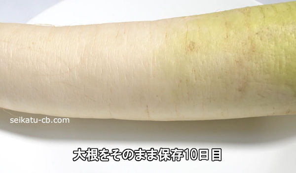 �纬�򤽤Τޤ���¸10����