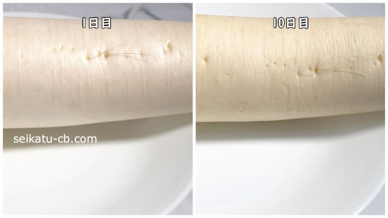 ���Τޤ���¸�����纬��1���ܤ�10���ܤΰ㤤