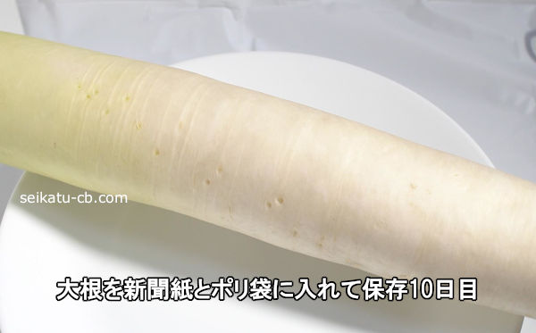 �纬��ʹ��ȥݥ��ޤ��������¸10����