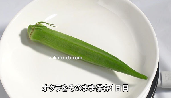 そのまま保存するオクラ1日目