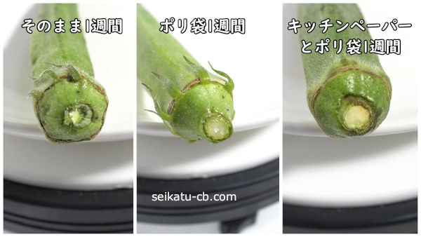 それぞれの保存方法で1週間保存したオクラの切り口を比較