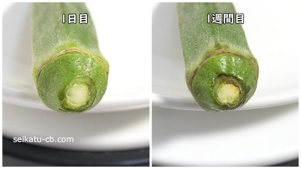 そのまま保存したオクラの切り口1日目と1週間目の違い