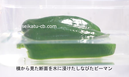 �����鸫�����̤��˿������ԡ��ޥ�