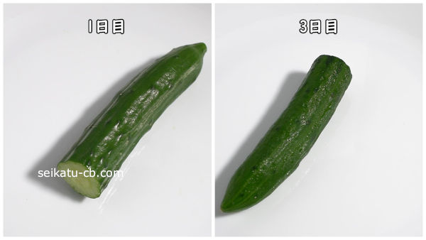 そのまま保存したカットしたきゅうり1日目と3日目