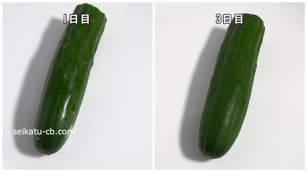 ラップで包んで保存したカットしたきゅうり1日目と3日目