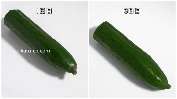 キッチンペーパーとラップで包んで保存したカットしたきゅうり1日目と3日目