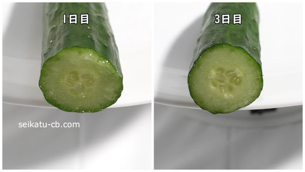キッチンペーパーとラップで包んで保存したカットしたきゅうりの断面1日目と3日目