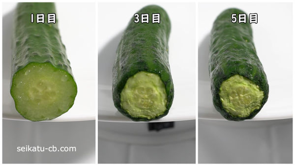 そのまま保存したカットしたきゅうりの断面1日目と3日目と5日目