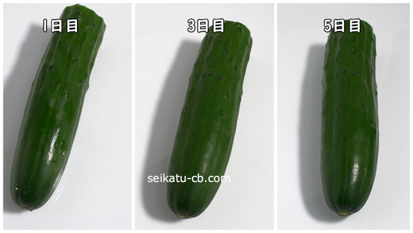 ラップで包んで保存したカットしたきゅうり1日目と3日目と5日目