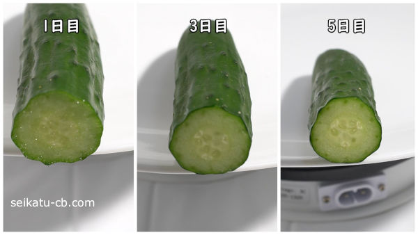 ラップで包んで保存したカットしたきゅうりの断面1日目と3日目と5日目