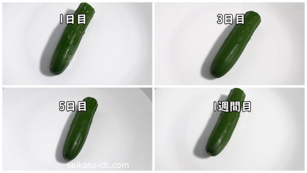 キッチンペーパーとラップで包んで保存したカットしたきゅうり1日目と3日目と5日目と1週間目