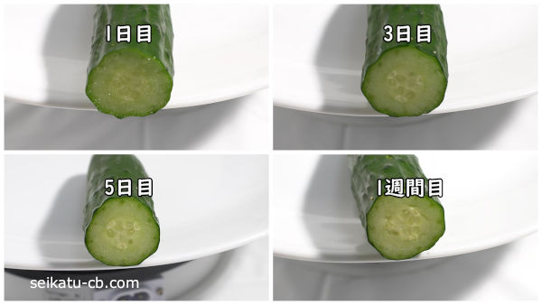キッチンペーパーとラップで包んで保存したカットしたきゅうりの断面1日目と3日目と5日目と1週間目