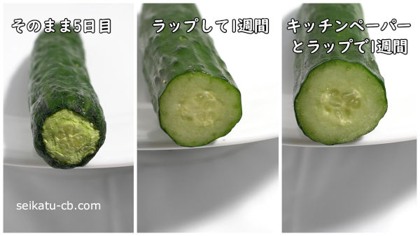 カットしたきゅうりの断面のそれぞれの保存方法での1週間での変化