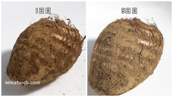 Τ���ʹ������ǥݥ��ޤ�����ƾﲹ��¸1���ܤ�5����