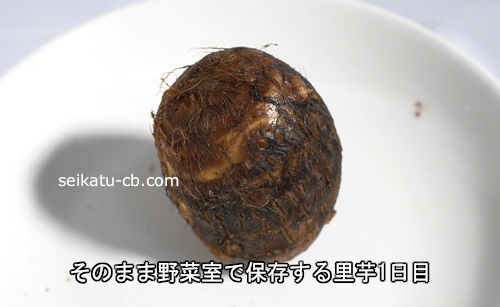 Τ��򤽤Τޤ���ڼ�����¸1����