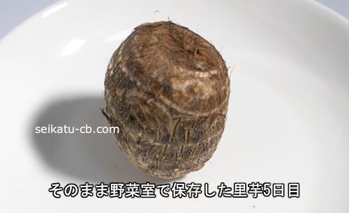 Τ��򤽤Τޤ���ڼ�����¸5����