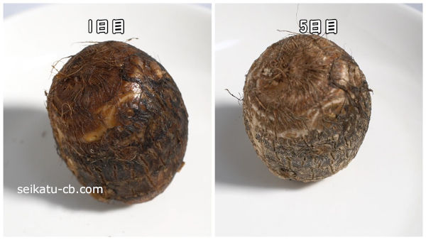 Τ��򤽤Τޤ���ڼ�����¸1���ܤ�5����