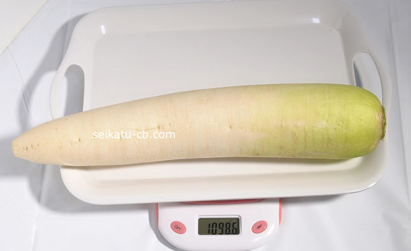 そのまま野菜室で保存した大根10日目の重さは1098.6gです。