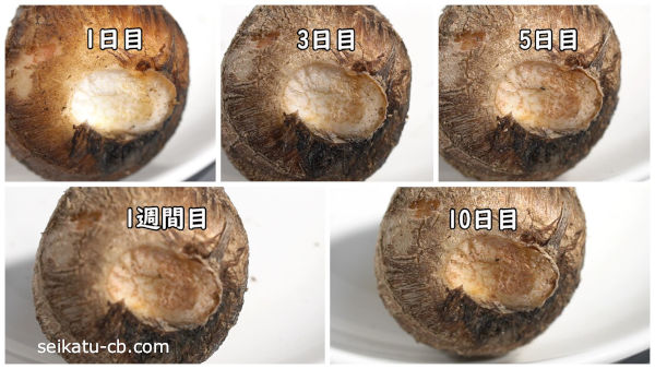 常温で保存した里芋の1日目と3日目と5日目と1週間目と10日目の違い