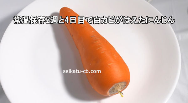 �ﲹ��¸2�����ܤ��򥫥Ӥ��Ϥ����ˤ󤸤�