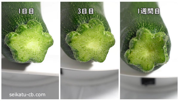 ��ʹ��ȥݥ��ޤ��������¸���륺�å����ˤ�����1���ܤ�3���ܤ�1������