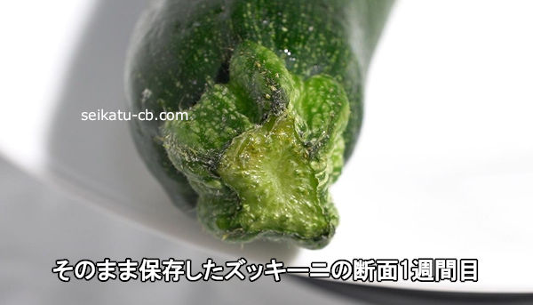 ���Τޤ���¸�������å����ˤ�����1������