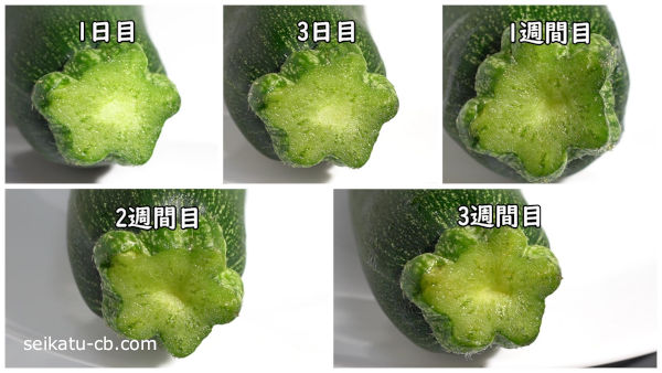 ��ʹ��ȥݥ��ޤ��������¸���륺�å����ˤ�����1���ܤ�3���ܤ�1�����ܤ�2�����ܤ�3������