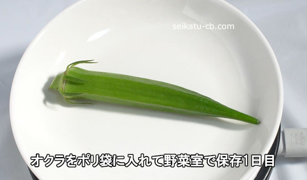オクラをポリ袋に入れて野菜室で保存1日目