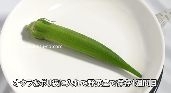 オクラをポリ袋に入れて野菜室で保存1週間目