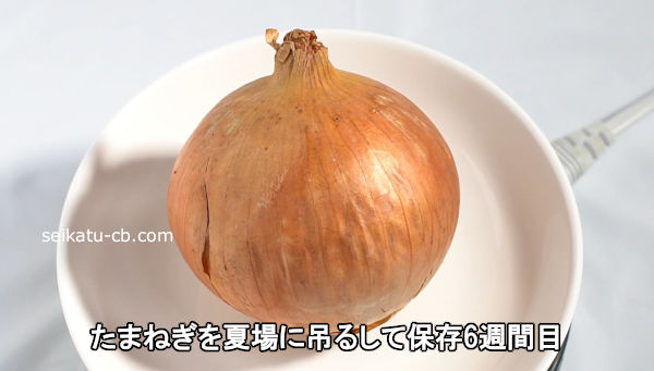 ���ޤͤ���ƾ���ߤ뤷����¸6������